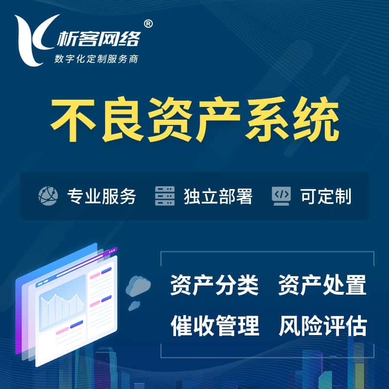 平顶山不良资产管理系统